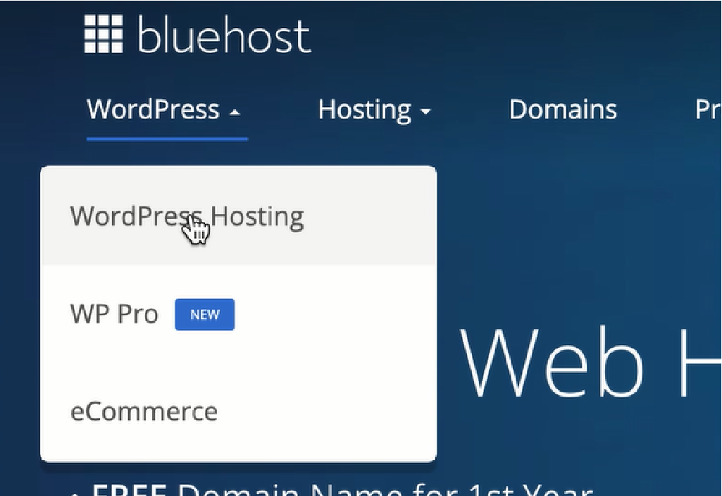 Hosting Web - Como hacer un sitio web